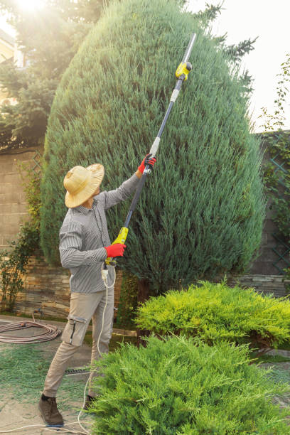 Lawn Watering Services in Monsey, NY